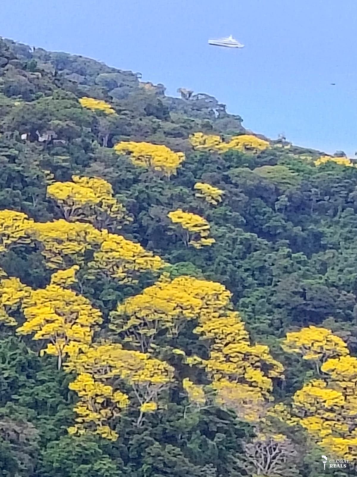 Espectacular propiedad en Tarcoles con vista al mar