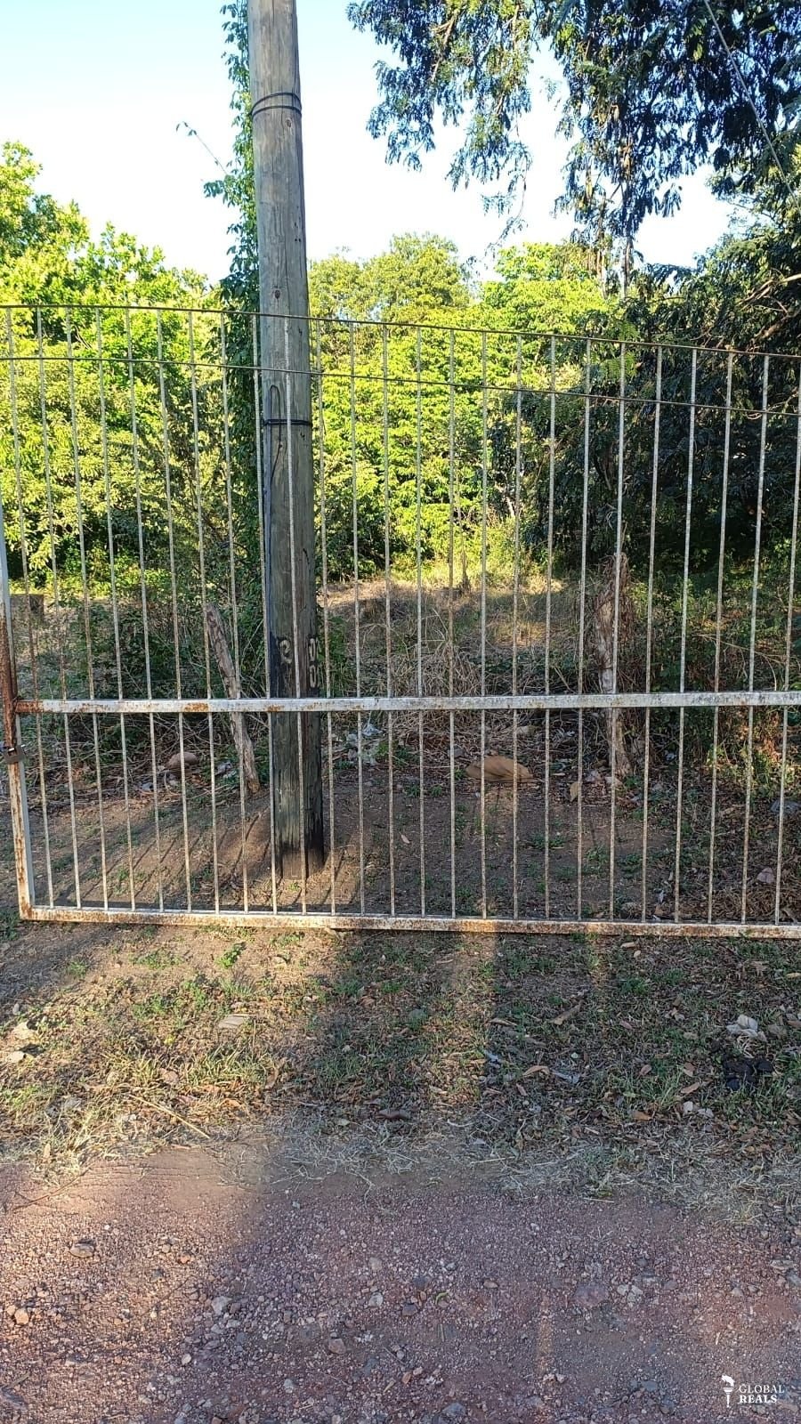 ¡Oportunidad Única de Inversión en Guanacaste!   Lotes Comerciales y/o Residenciales frente a la Ruta 155!