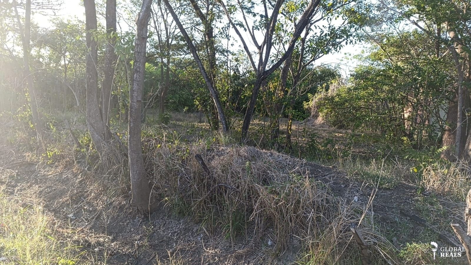 ¡Oportunidad Única de Inversión en Guanacaste!   Lotes Comerciales y/o Residenciales frente a la Ruta 155!