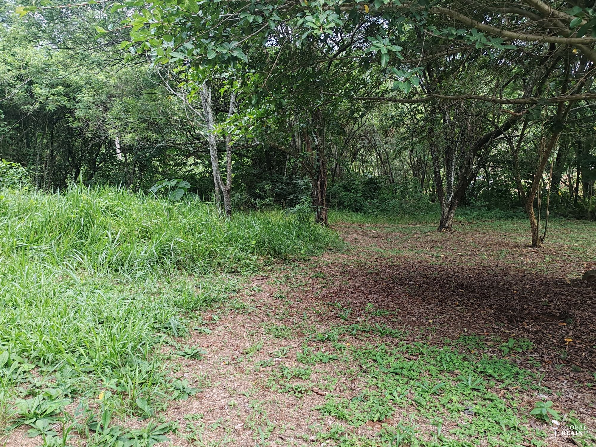 Lote para Inversión  Atenas