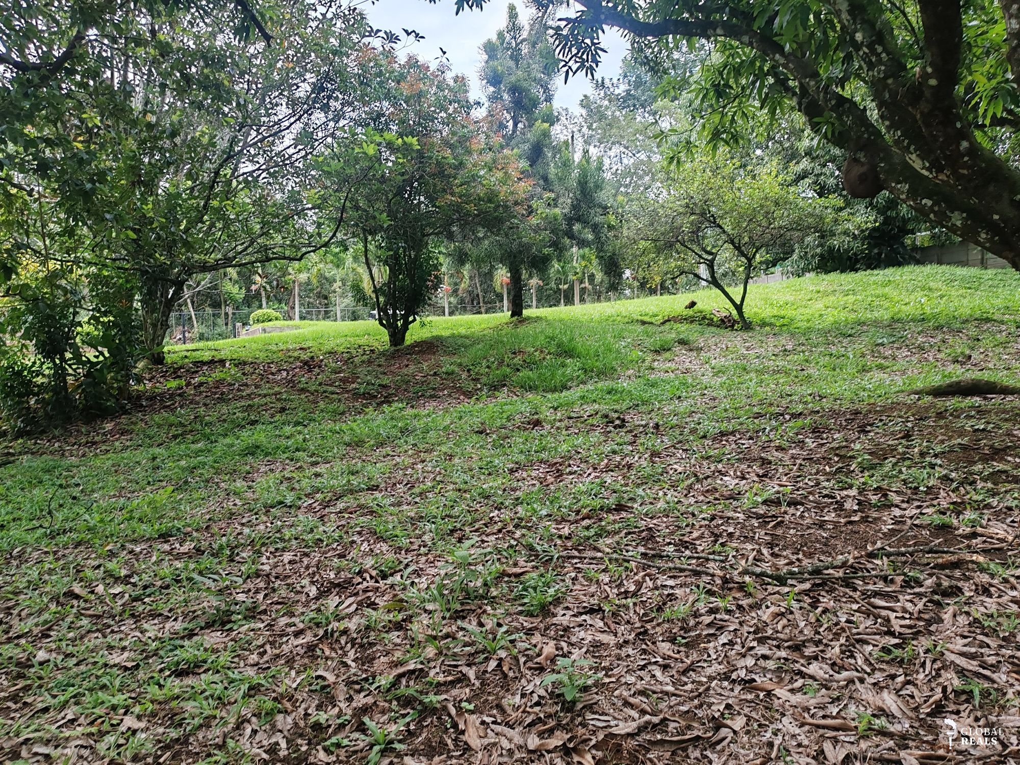 Lote para Inversión  Atenas