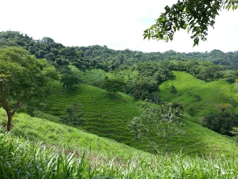 Finca Ganadera  Oportunidad Puntarenas