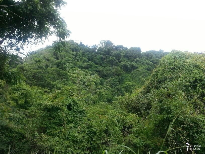 Finca Ganadera  Oportunidad Puntarenas