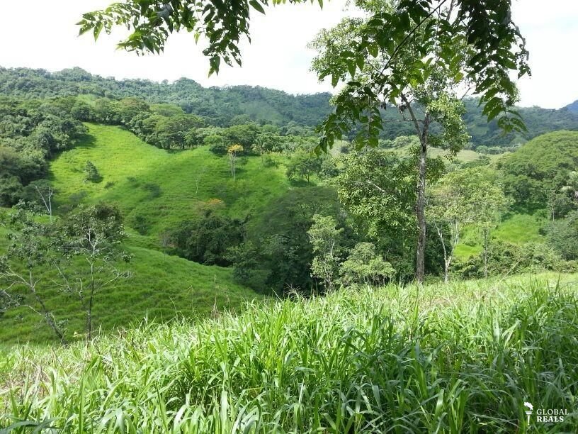 Finca Ganadera  Oportunidad Puntarenas