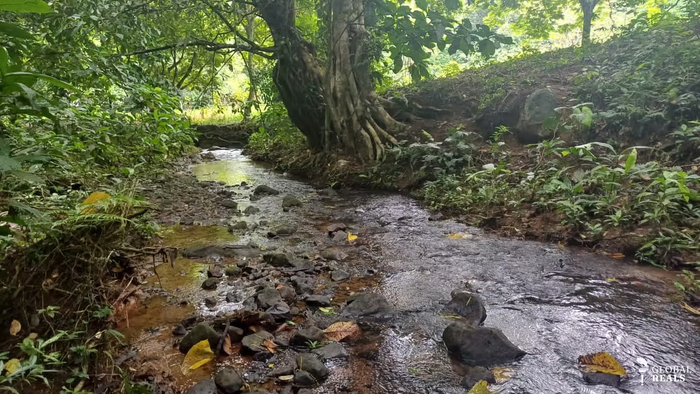 Terreno de oportunidad