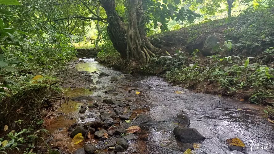 Terreno de oportunidad