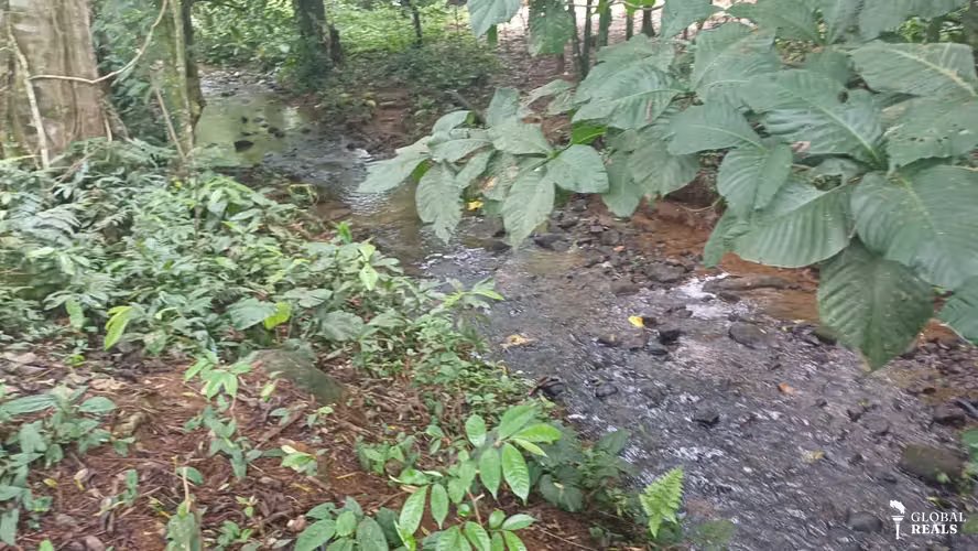 Terreno de oportunidad