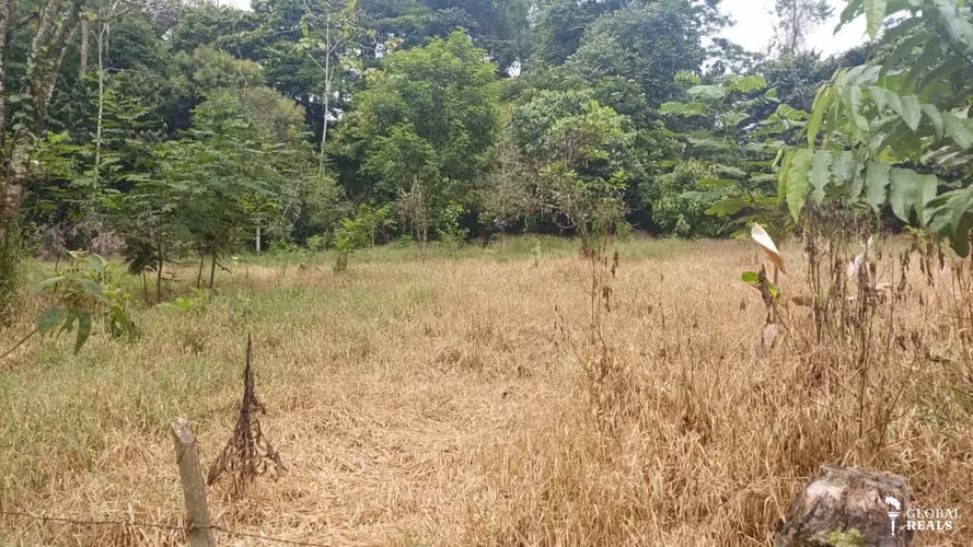 Terreno de oportunidad