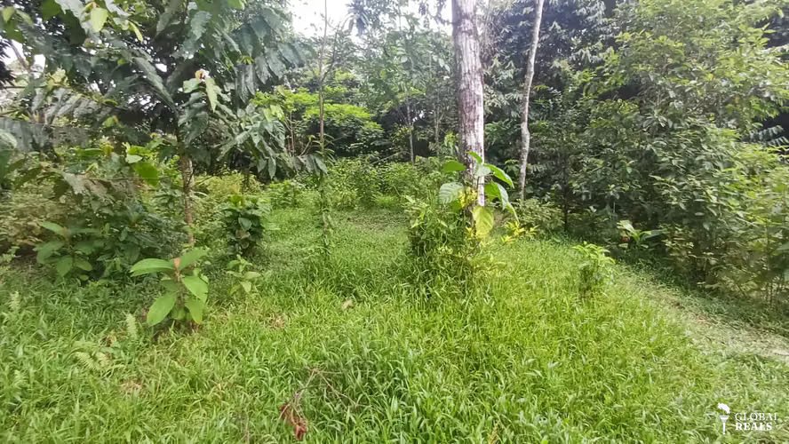 Terreno de oportunidad