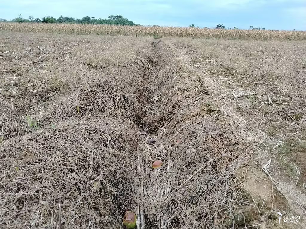 Finca Agrícola precio de oportunidad
