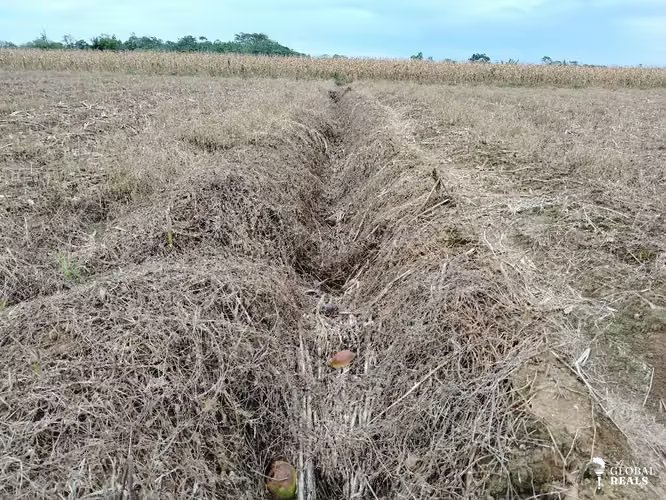 Finca Agrícola precio de oportunidad