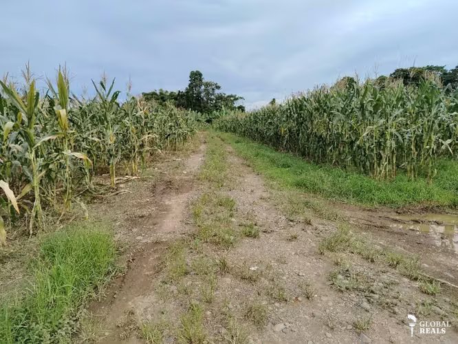 Finca Agrícola precio de oportunidad