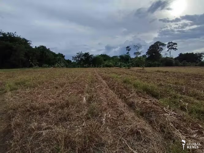 Finca Agrícola precio de oportunidad