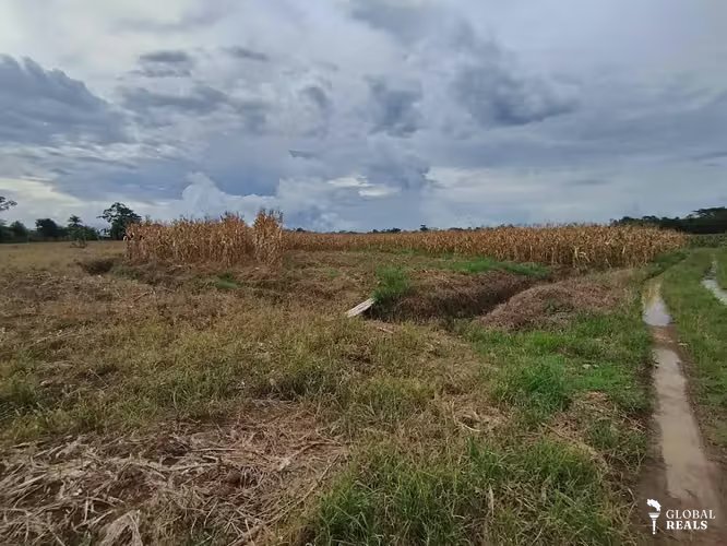 Finca Agrícola precio de oportunidad