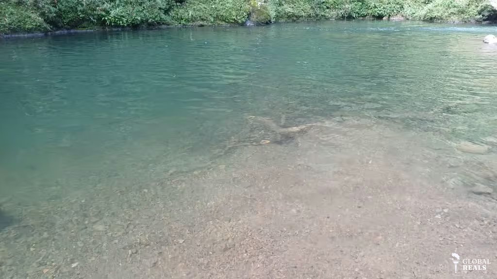 Finca de Ensueño en La Argentina de Guácimo