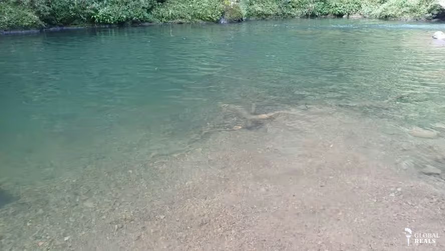 Finca de Ensueño en La Argentina de Guácimo