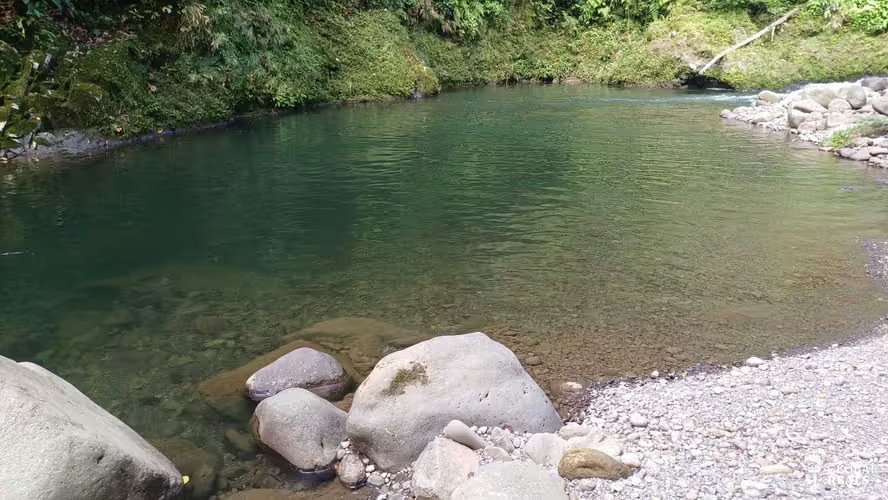 Finca de Ensueño en La Argentina de Guácimo