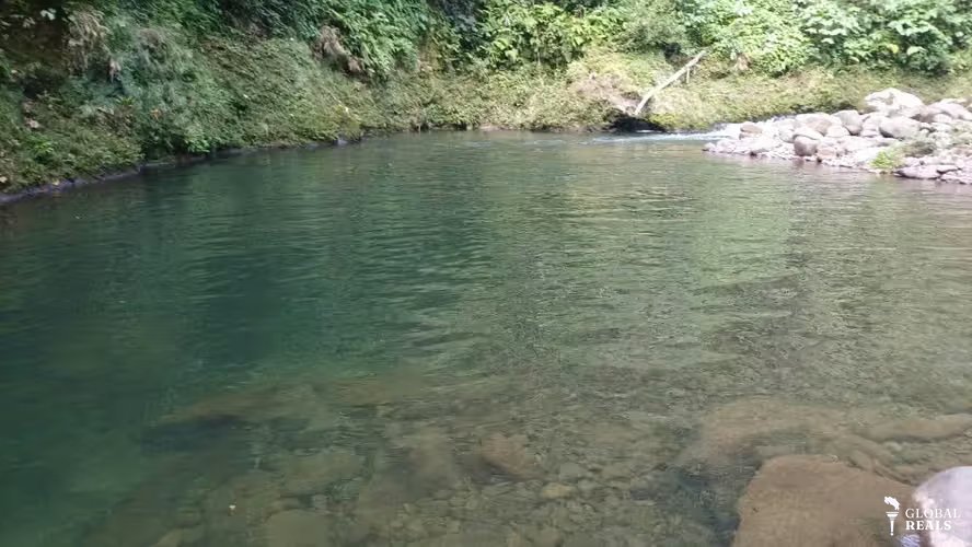 Finca de Ensueño en La Argentina de Guácimo