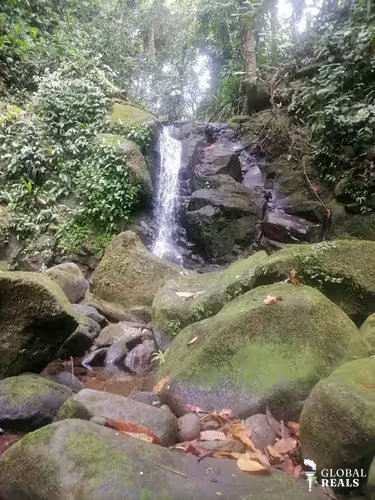 Finca ganadera