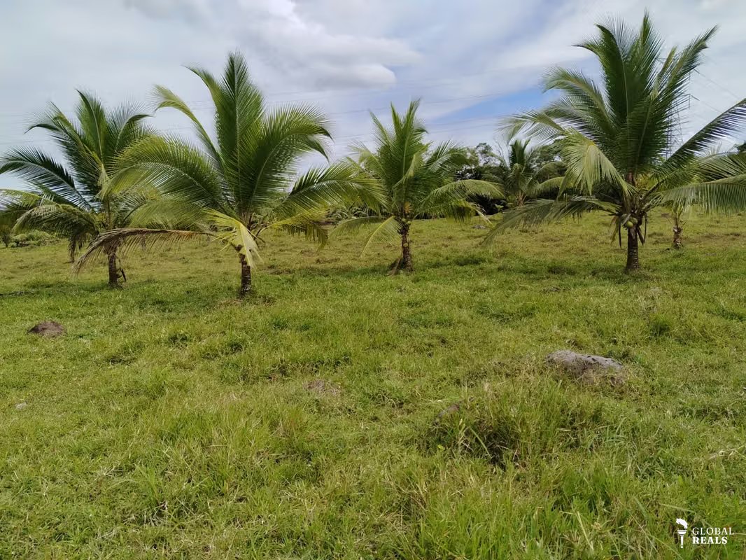finca para Quintas