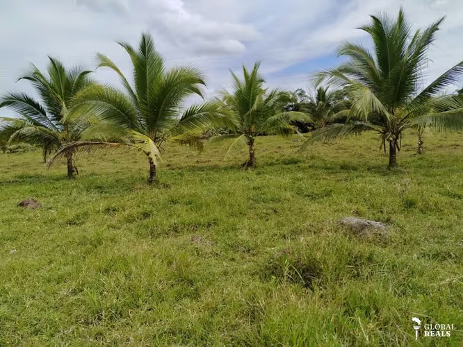 finca para Quintas