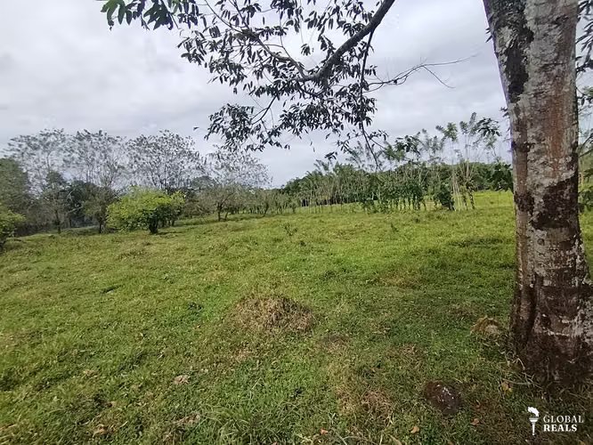 finca para Quintas