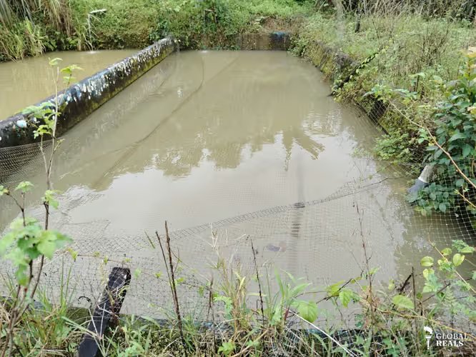 Finca en Venta