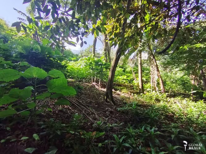 Terreno exclusivo para desarrollo residencial — San Joaquin, Heredia