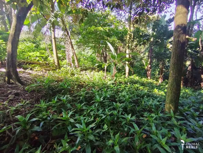 Terreno exclusivo para desarrollo residencial — San Joaquin, Heredia