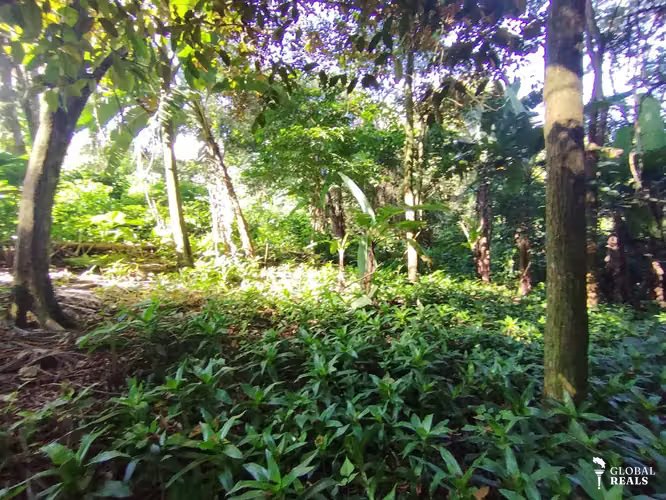 Terreno exclusivo para desarrollo residencial — San Joaquin, Heredia
