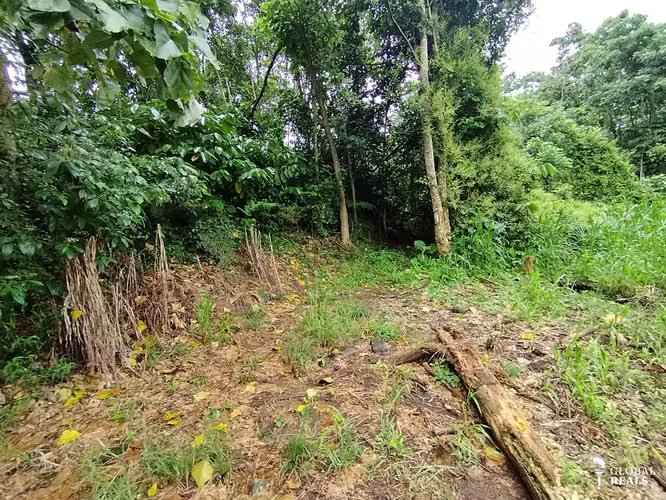 Finca de 4 hectáreas en Pavones de Turrialba