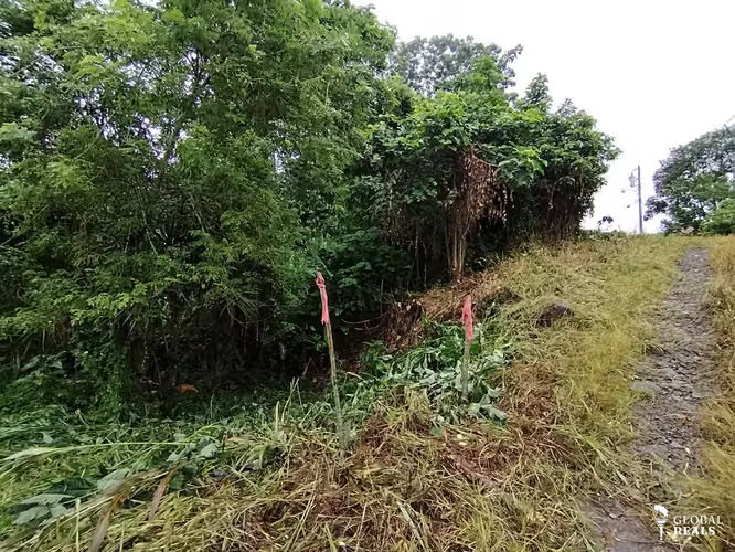Finca de 4 hectáreas en Pavones de Turrialba