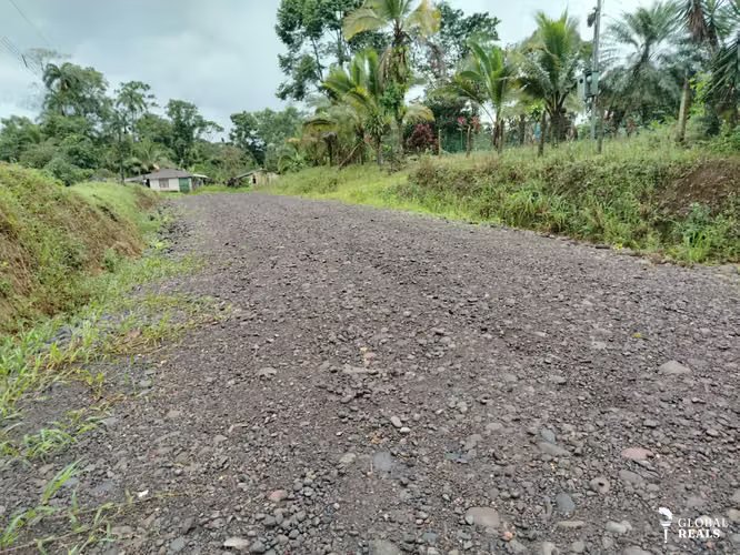 Finca 15.5 hectareas