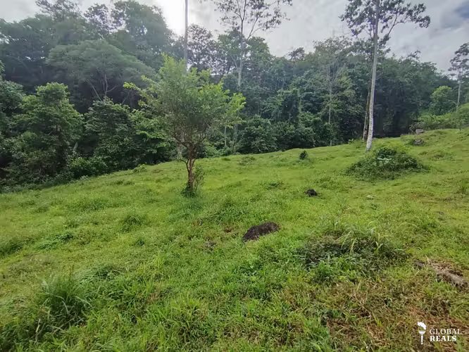 Terreno de ensueño