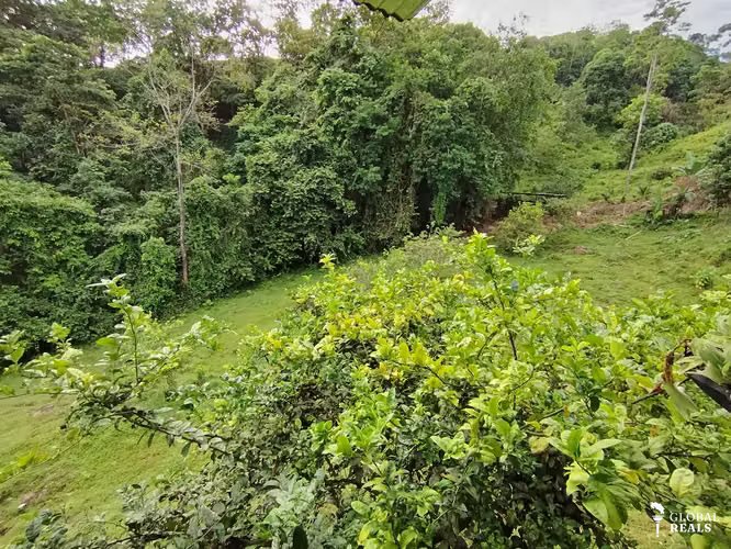 Terreno de ensueño