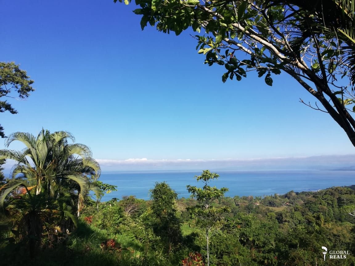 🌊 Santuario Natural con Vista al Océano | Costa Rica