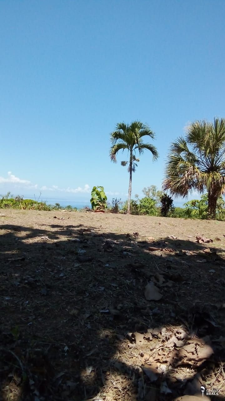 🌊 Santuario Natural con Vista al Océano | Costa Rica