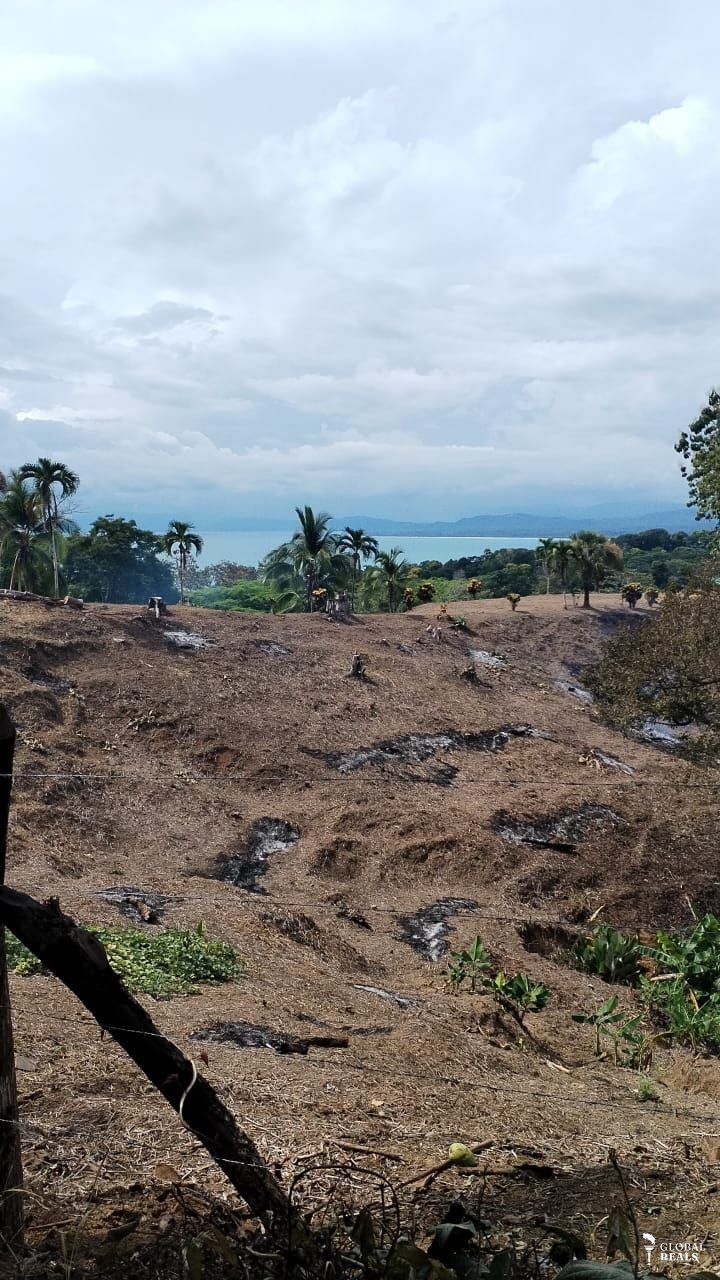 🌊 Santuario Natural con Vista al Océano | Costa Rica