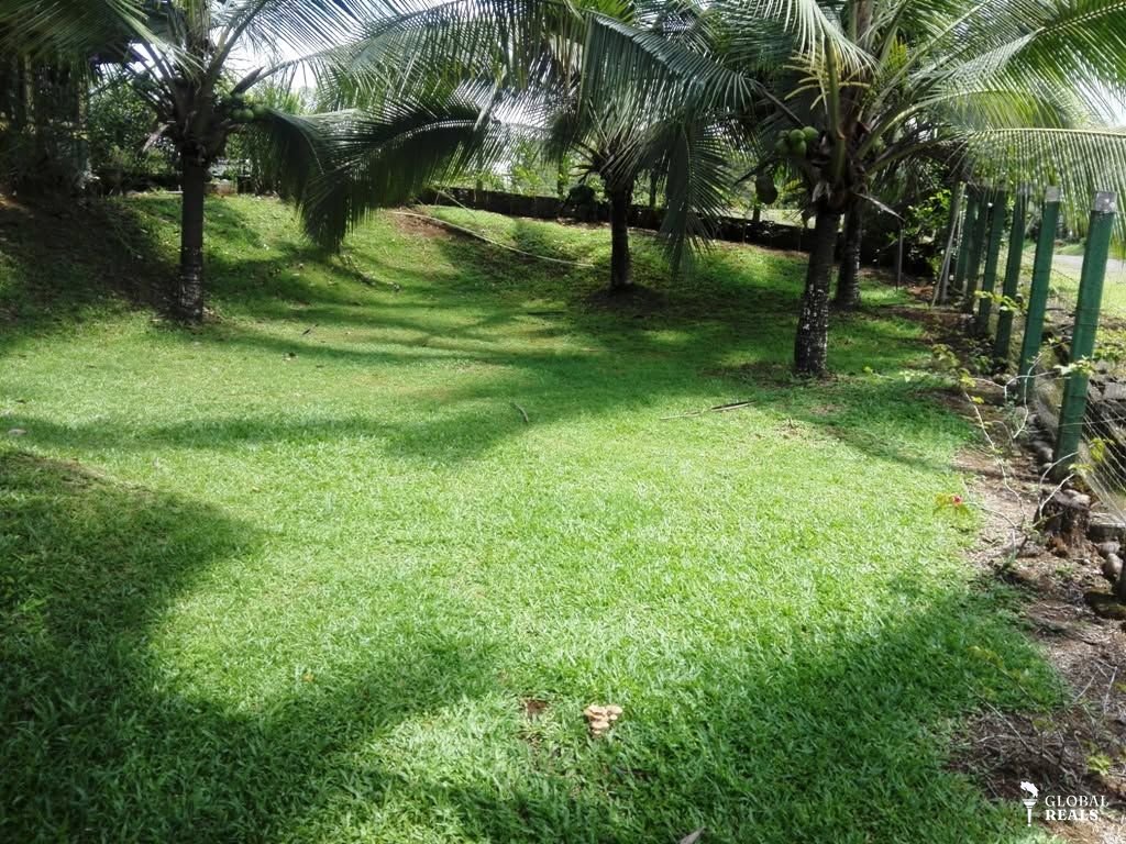 🌿 Casa de Recreo en Sarapiquí | Un refugio para desconectarte del mundo