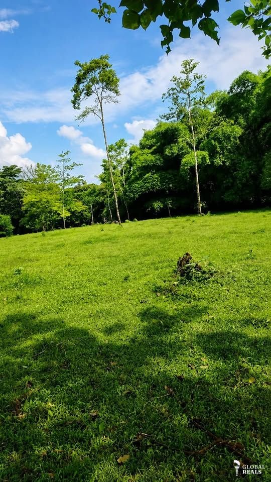 HERMOSO Y PLANO TERRENO DE 1 HECTAREA Y MEDIA
