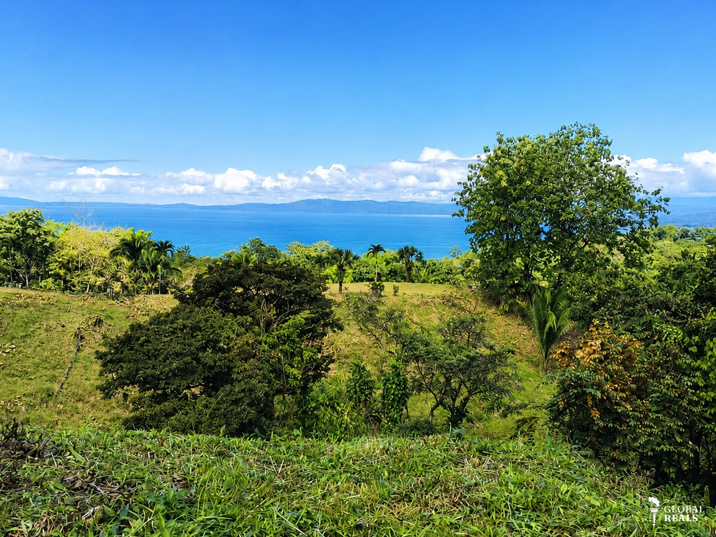 🌊 Lote con Vista al Mar | Pavones Beach, Costa Rica