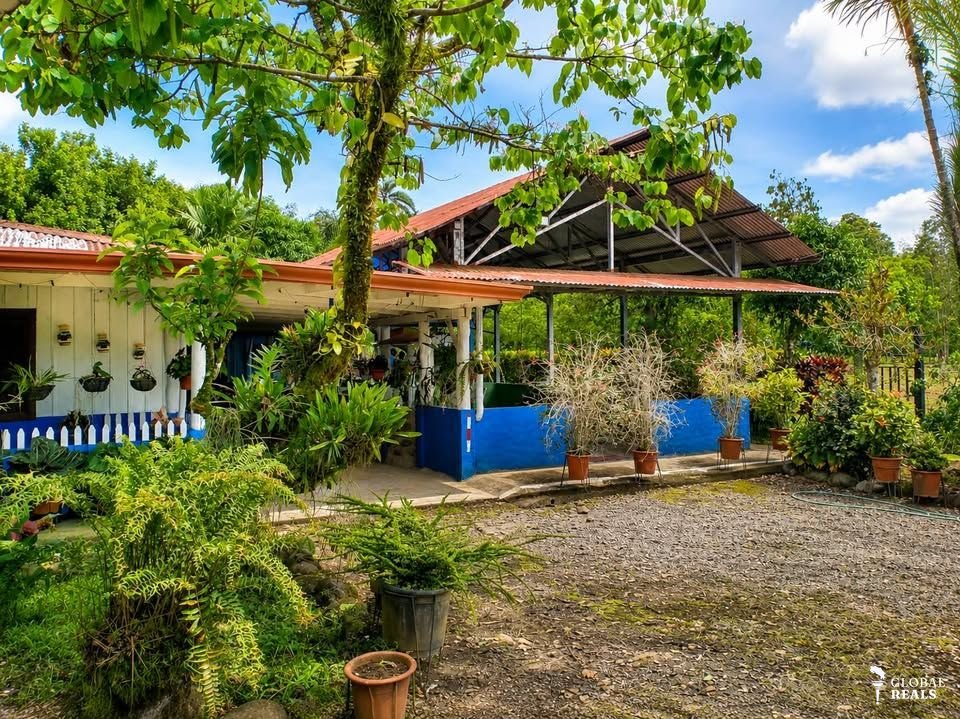 🌿 FINCA DE ENSUEÑO EN SARAPIQUÍ | 1.3 Ha, Casa Rústica, Piscina y Riachuelo Propio 🏡