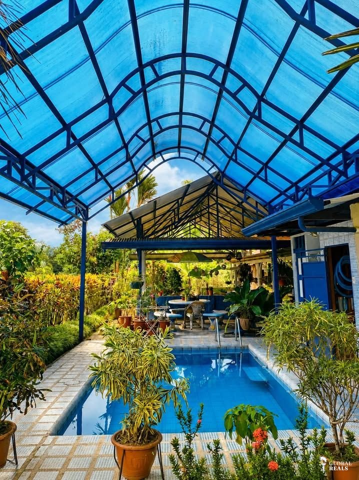 🌿 FINCA DE ENSUEÑO EN SARAPIQUÍ | 1.3 Ha, Casa Rústica, Piscina y Riachuelo Propio 🏡