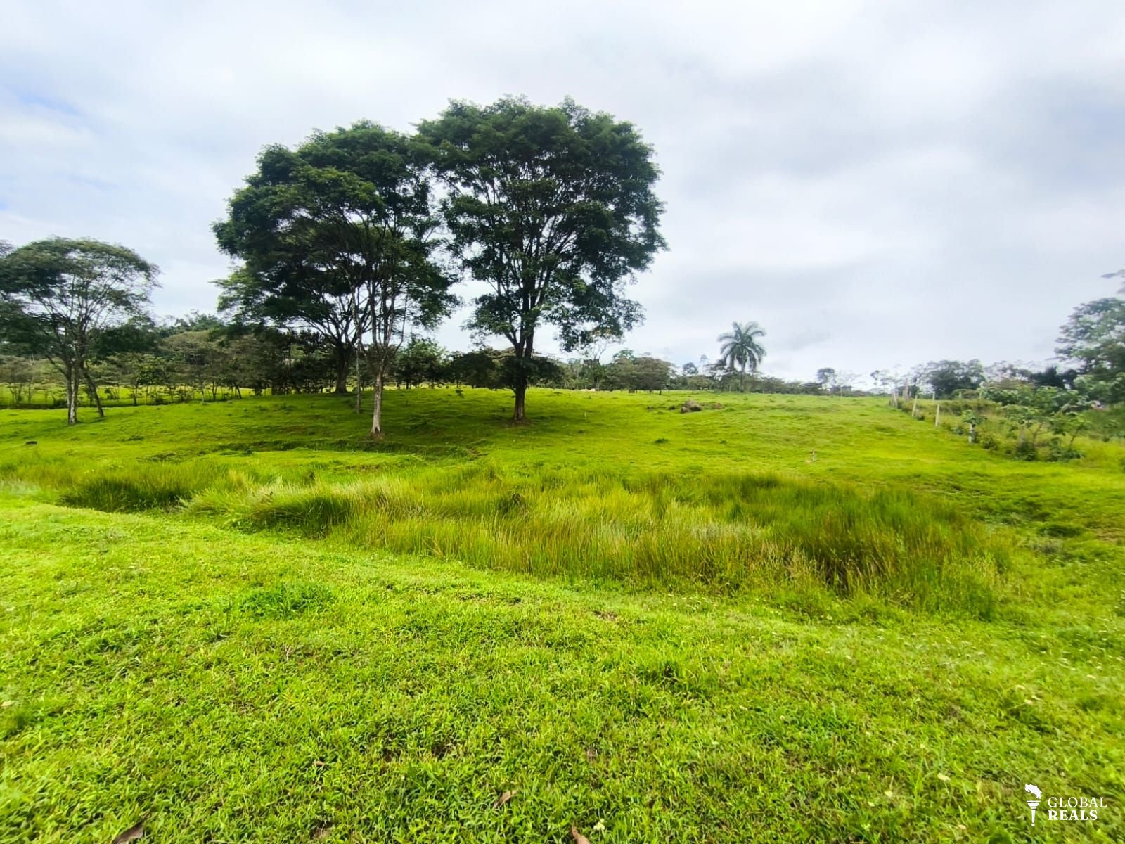 Se vende hermosa quinta en la Alegría, Siquirres, Limón