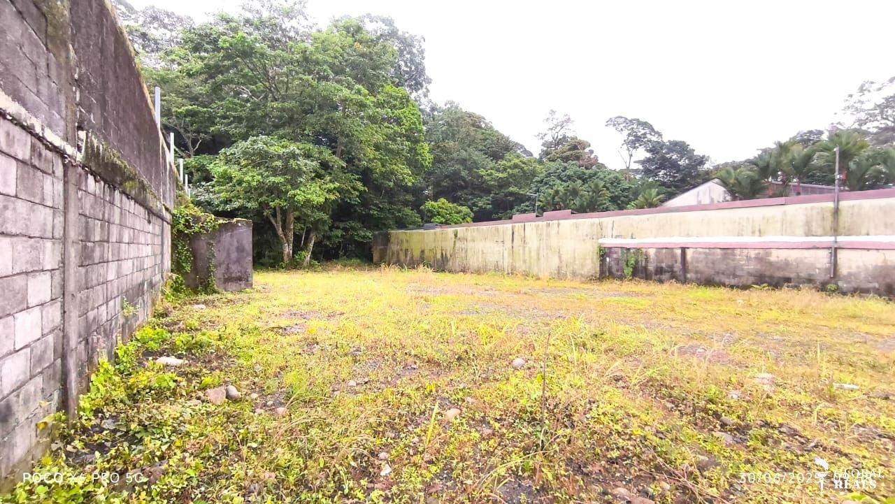 Vendo terreno comercial en Guápiles, Pococí
