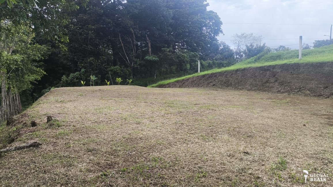 Se vende terreno en Florida, Siquirres, Limón. Zona alta