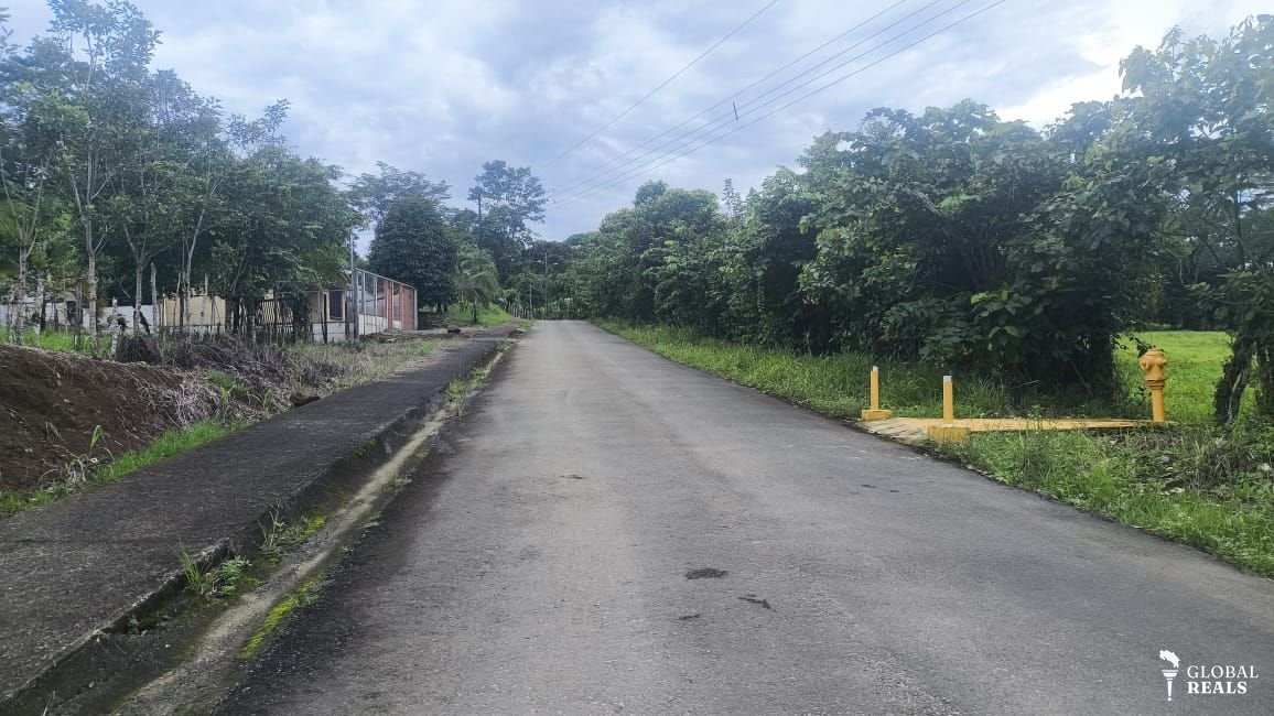 Se vende terreno en Florida, Siquirres, Limón. Zona alta