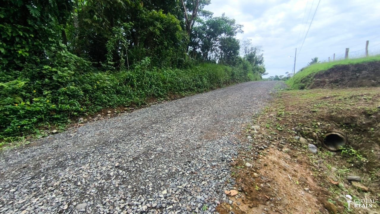 Se vende terreno en Florida, Siquirres, Limón. Zona alta