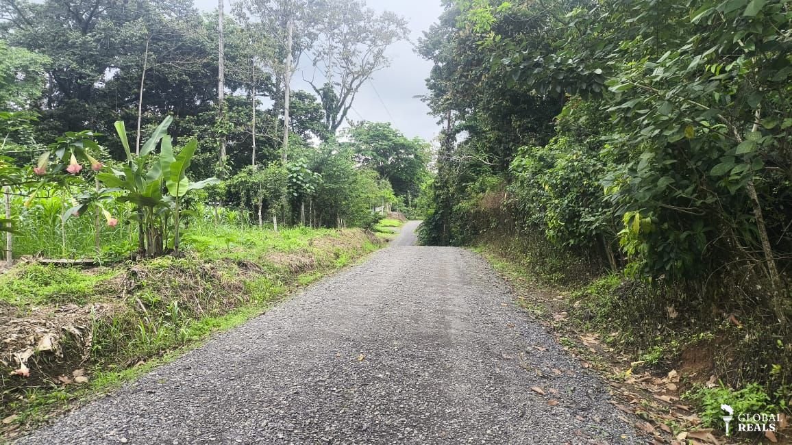 Se vende terreno en Florida, Siquirres, Limón. Zona alta