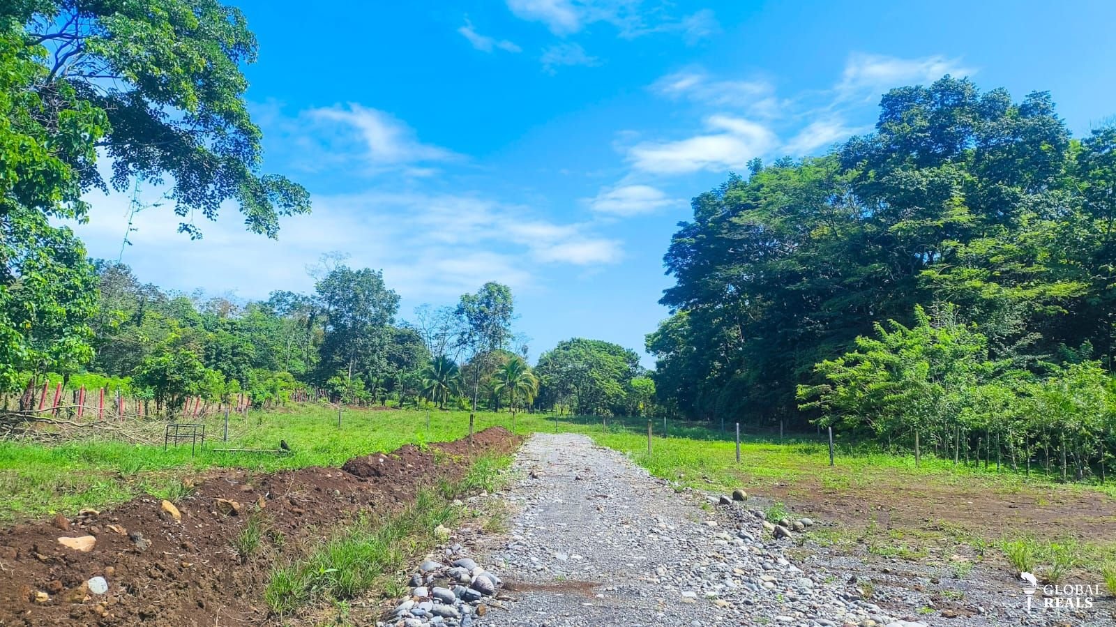 Se venden lotes en La Alegría, Siquirres, Limón